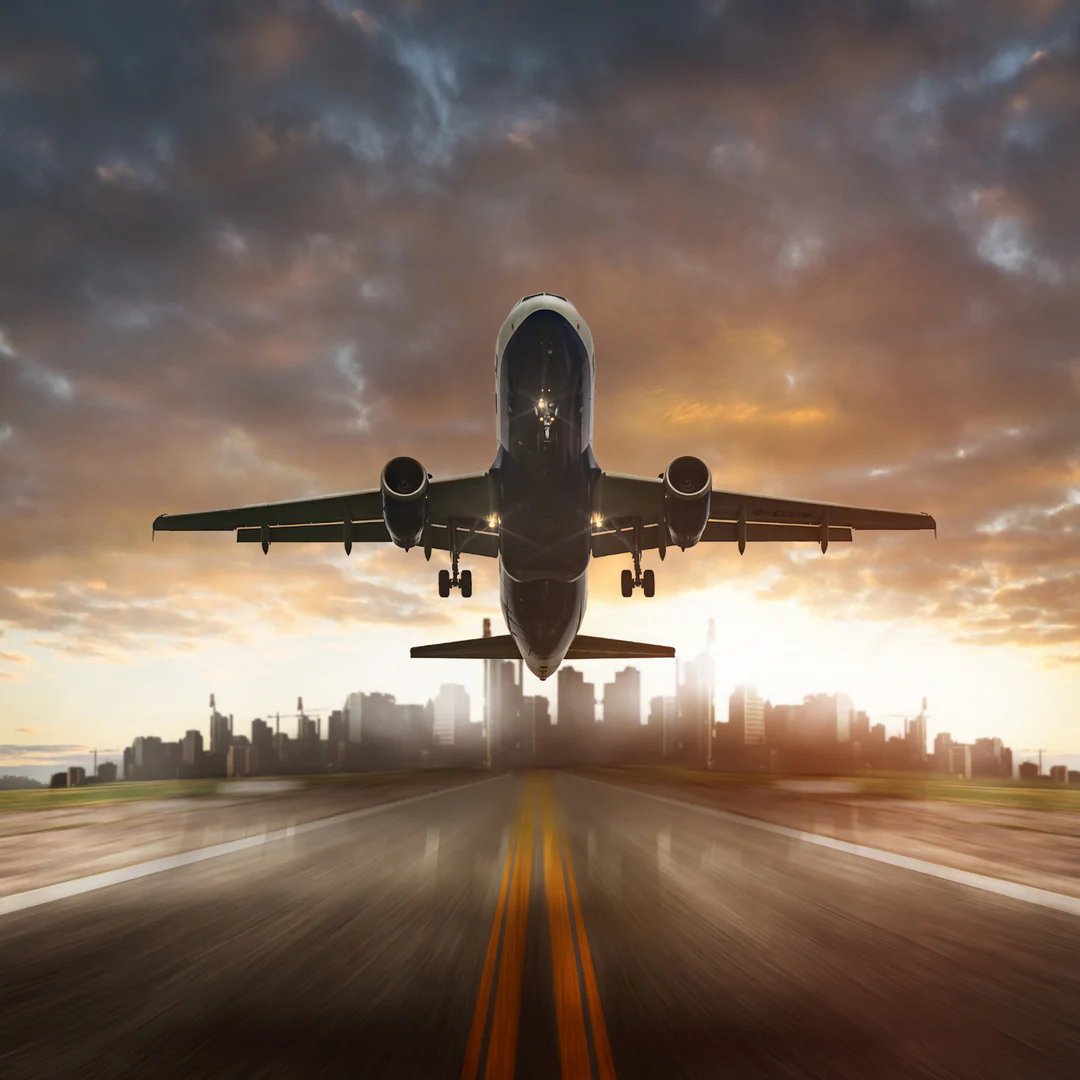 Exotic Thai Betta Mastery